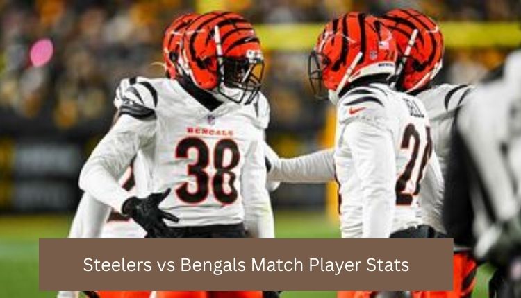 Steelers-vs-Bengals-Match-Player-Stats