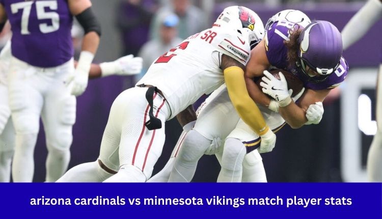 arizona cardinals vs minnesota vikings match player stats